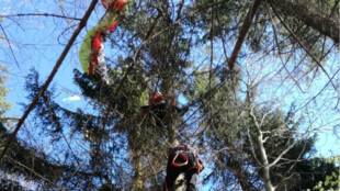 Paraglidista nezvládl start z Ondřejníku a skončil na stromě, pomohla mu Horská služba