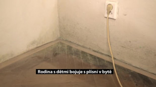 Rodina z Karviné bojuje s plísní v bytě