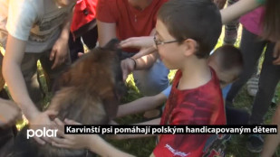 Karvinští psi pomáhají polským handicapovaným dětem