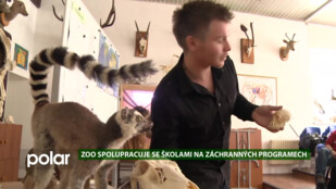 Ostravská zoologická zahrada je lídrem v enviromentálním vzdělávání v Česku