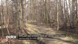 Městský les ve Frýdlantu nad Ostravicí se změní k nepoznání. Vznikne nová lesní stezka