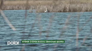 EKO MAGAZÍN: Odbahnění rybníku Štěpán v přírodní rezervaci je nutné, jinak budou hynout ryby i další živočichové