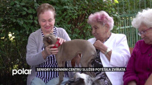 Seniory v karvinském Denním centru služeb potěšila zvířata