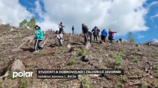 Studenti a dobrovolníci zalesňují kalamitní svahy na Javorníku