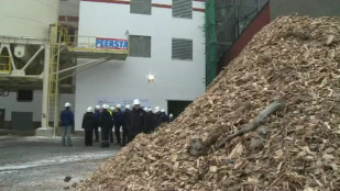 Dalkia Česká republika uvedla do provozu nový kotel na spalování biomasy