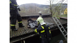 Hasiči zasahovali u požáru chatky v Řece na Frýdecko-Místecku