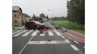 Řidič v Loukách se lekl psa a zboural semafor