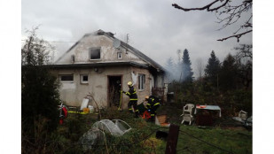 Požár v Mostech u Jablunkova zahubil psy, hasiči dva zachránili