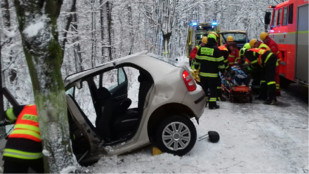 Řidič auta se na Opavsku zranil při nárazu do stromu