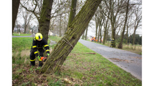 Ve Velkých Albrechticích káceli nakloněný strom