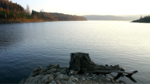 Rybáři se dohodli s vodohospodáři na nových podmínkách rybolovu na Slezské Hartě