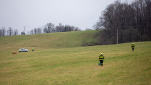 Roční tele uteklo novému majiteli, na pomoc s odchytem přispěchali hasiči i policisté
