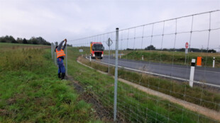 Silničáři instalují ploty kolem hlavních tahů v Moravskoslezském kraji