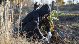 Studenti a zaměstnanci Ostravské univerzity za víkend vysadili 8 600 stromů