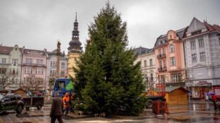 Vánoční strom v centru Ostravy praskl, z bezpečnostních důvodů se musí vyměnit