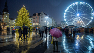 Na Masarykově náměstí v Ostravě už zase stojí živý vánoční strom