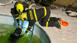 Hasiči zachránili v Bašce salašnického psa z ledového bazénku
