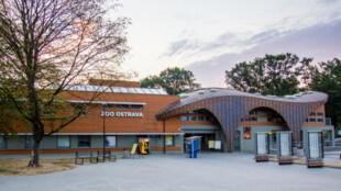 Ostravská zoo kvůli úsporným opatřením zatím neprodlouží otevírací dobu