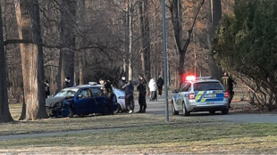 Zdrogovaný muž se zákazem řízení ujížděl v Opavě policistům, v Městských sadech boural do stromu