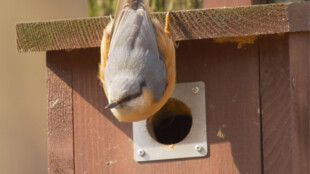 Ptáci v ostravské zoo už pomalu hlásí příchod jara