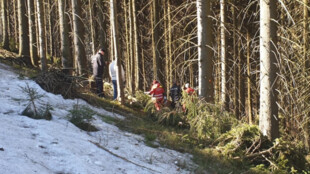 Padající strom smrtelně zranil muže u Krásné, na místě zasahoval vrtulník i first responder