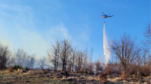 Hasiči likvidovali na Bruntálsku rozsáhlý požár lesa, hasil i policejní vrtulník, byl vyhlášen druhý stupeň poplachu