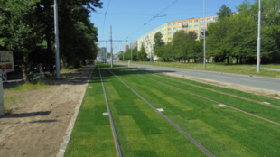 Dvouměsíční výluka tramvají i omezení pro řidiče, DPO v Ostravě-Porubě zmodernizuje trať