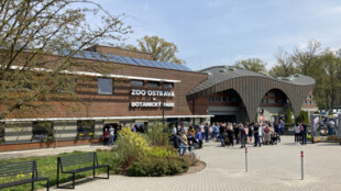 Zoo Ostrava na prázdniny prodlužuje otevírací dobu