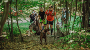 Beskydský Dogmaraton prověří síly závodníků a jejich čtyřnohých parťáků