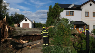 Poškozené střechy a popadané stromy, částí Jeseníku nad Odrou se prohnala větrná smršť