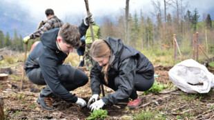 Projekt Student v lese pomáhá přírodě i mezigeneračním vztahům
