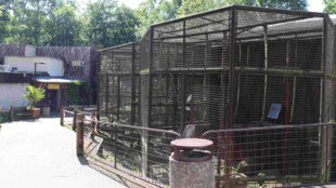 V ostravské zoo odstranili část železných klecí u starého pavilonu primátů