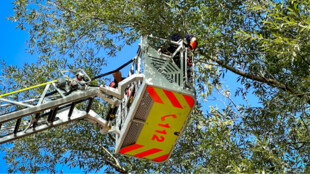 Paraglidistka v Ostravici uvízla na stromě, sundávali ji hasiči