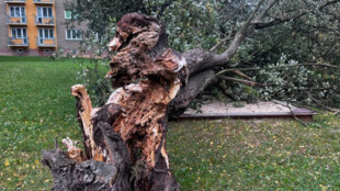 Noc byla tropická, větrná a tragická, cyklistu v Třinci zabil zlomený strom