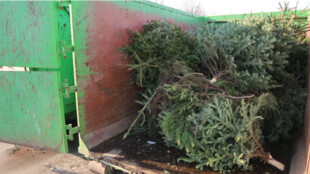 Ostrava sváží vánoční stromky od kontejnerů. V Třinci začnou v pátek