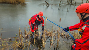 Pes uvízl uprostřed zamrzlé vodní plochy v Orlové, zachránili ho hasiči
