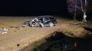 Tři mrtví po dvou vážných nehodách. V Orlové a Novém Jičíně narazila auta do stromu