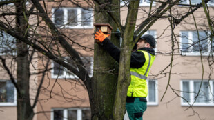 Ostrava instaluje i opravuje ptačí budky. Od roku 2021 jich přibylo 251