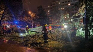 Padající strom zabil ženu v Českém Těšíně. Další lidé se zranili. Hasiči řešili přes 840 událostí
