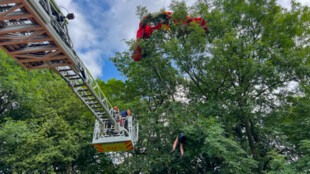 Paraglidistka neplánovaně přistála na stromě, sundali ji hasiči