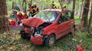 Senior vyjel s autem mimo silnici a narazil do stromu, spolujezdkyně zemřela