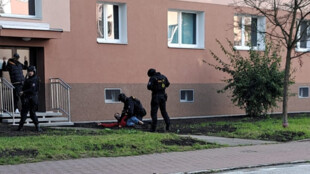 V centru Havířova policisté zadrželi podezřelé muže s plynovou pistolí