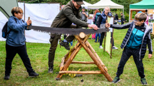 Ostravský Bělský les se o víkendu chystá na Festival dřeva