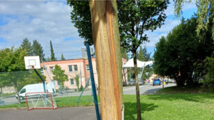Dítě z nudy poškodilo strom. Nedal se zachránit a musel být vyměněn