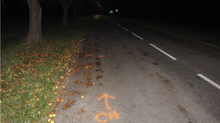 Policie pátrá po řidiči červeného auta, který srazil ženu u Tiché a ujel