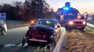 Srážka s daňkem způsobila hromadnou nehodu mezi Havířovem a Ostravou