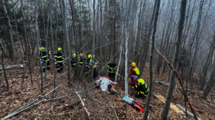 Prořezával stromy a kmen mu poranil nohu. Záchranné složky zasahovali v obtížném lesním terénu