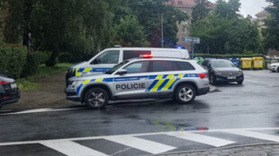 Otřesná vražda v Karviné. Sourozenci poleptali hlavu mladíka chemikáliemi