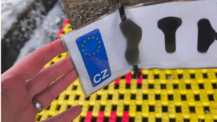 Papírová RZ, překročení limitu a pokračování v jízdě i přes zákaz. Dálniční policie řešila nevšední prohřešky