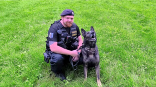 Hrdinové na čtyřech tlapkách. Služební psi loni v MS kraji zasahovali u 1 700 případů